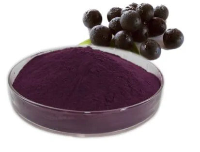 Acai Berry Powder