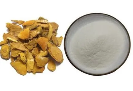 Japanese Knotweed Powder